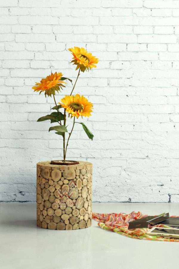 RM034 Coin Planter