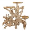 Teak Root Display C