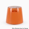 Wity Wooden Stool in Orange Colour
