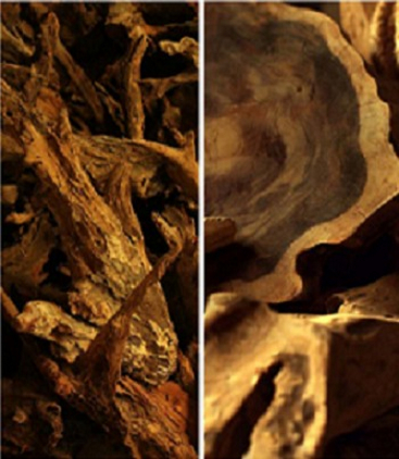 teak root furniture
